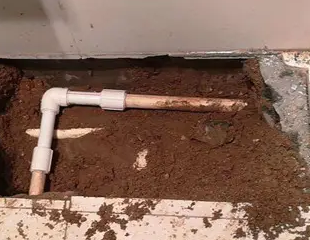 广汉测漏水哪家好